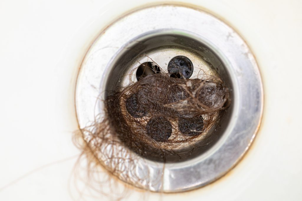 Clump of hair clogging a bathroom drain